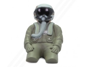 Freewing Pilot Figure FP22750
