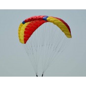 RC Paramodel Wings