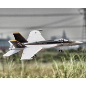 Freewing F/A-18 64mm EDF Jet