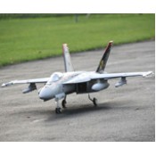 Freewing F-18 90mm EDF Jet