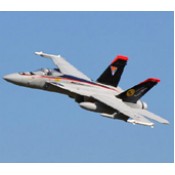 Freewing F-18 V2 90mm EDF Jet