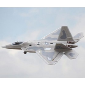 Freewing F-22 64mm EDF Jet