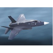 Freewing F-35  70mm EDF Jet