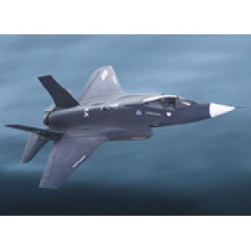 Freewing F-35  70mm EDF Jet