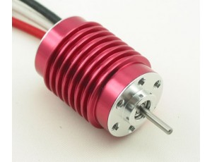 Pulso B2030-12S Pulso B2030-12S